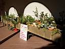 Il tavolo dei fiori e frutti - foto di Giuliano del Colombo
per ingrandire la foto cliccare sulla miniatura (630 Kb)